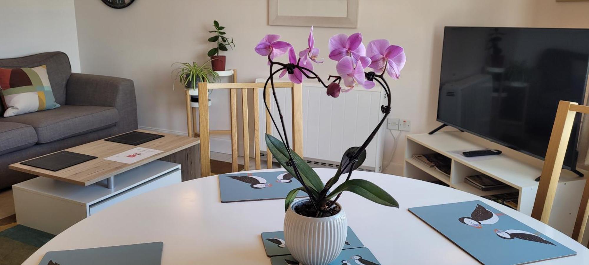 Heart Of Inverness-City Apartment Dış mekan fotoğraf